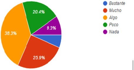 ¿Utiliza o ha utilizado otro idioma para el desempeño de su trabajo?